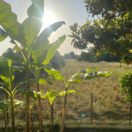 منزل ريفي La Maison De Litsa *